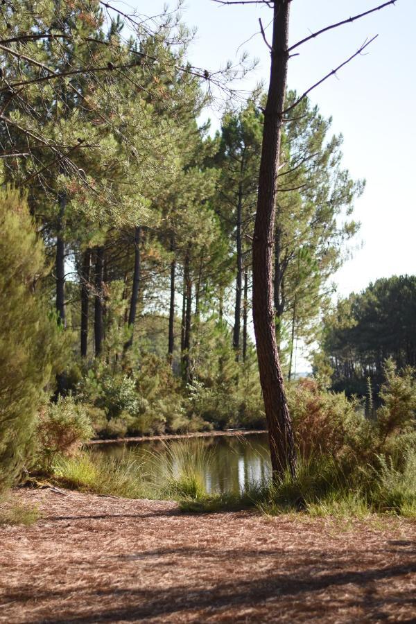 La Cachette Du Lac Lacanau Εξωτερικό φωτογραφία